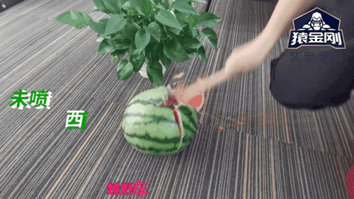澳门免费原料网挂牌