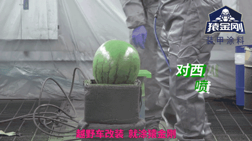 澳门免费原料网挂牌