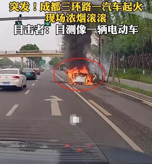 澳门免费原料网挂牌