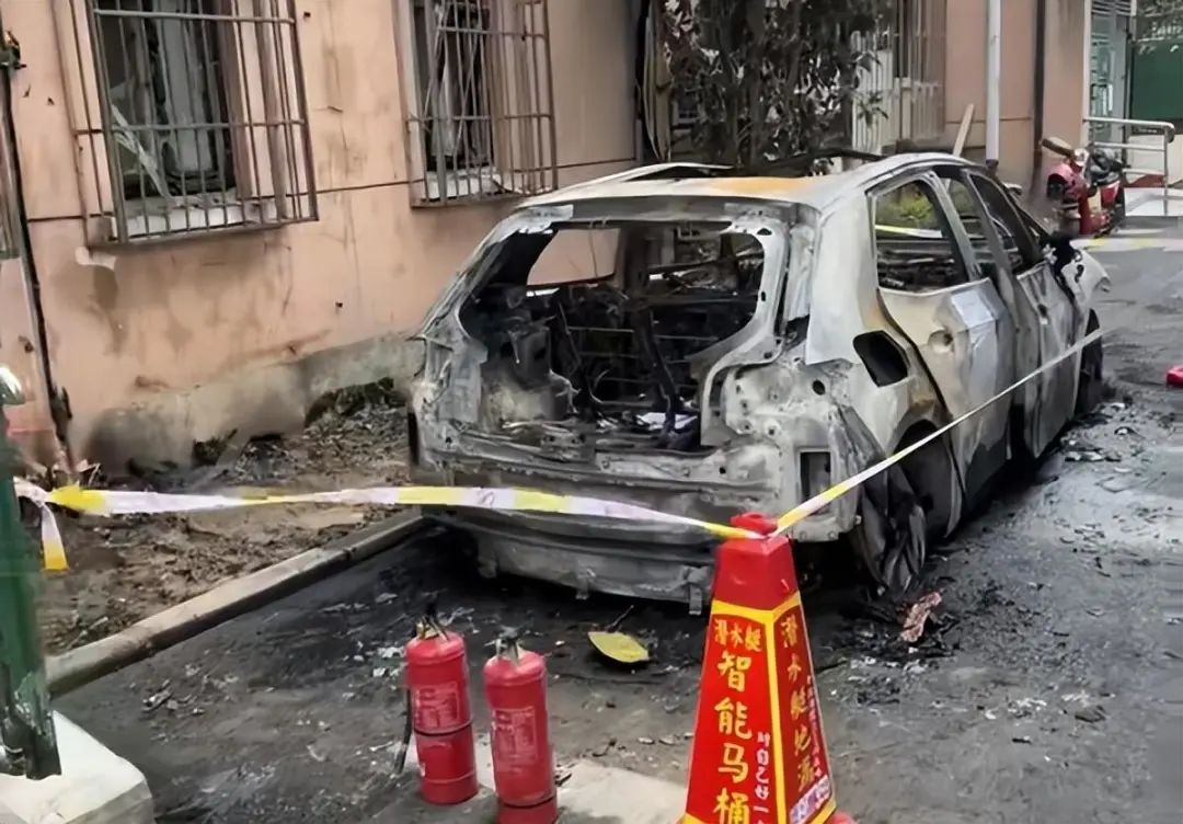 澳门免费原料网挂牌