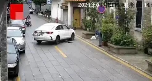 澳门免费原料网挂牌