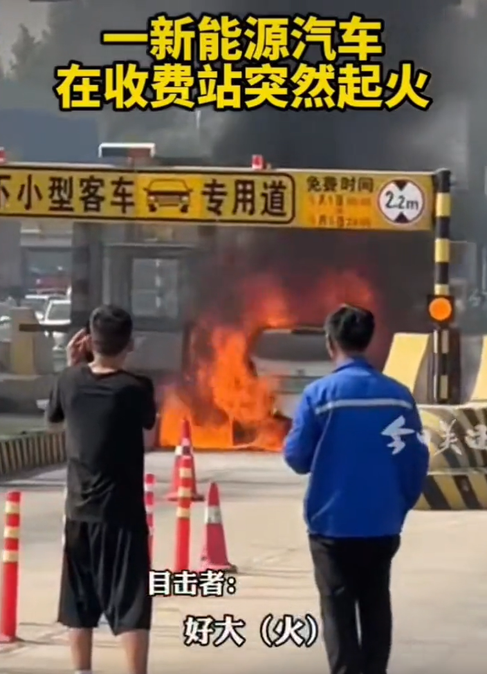 澳门免费原料网挂牌