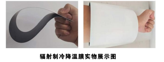 澳门免费原料网挂牌